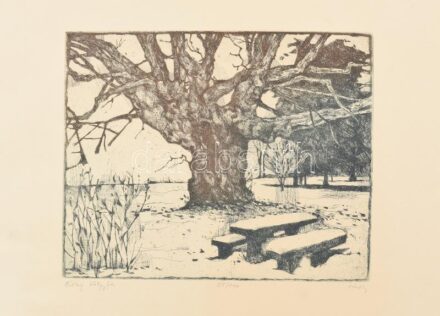 Túry Mária (1930-1992): Öreg tölgyfa. rézkarc, papír, jelzett, Sorszámozott 24/100 24x29 cm