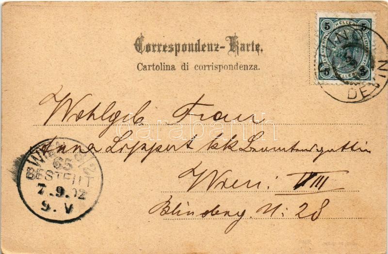 1902 Duino, Devin, Tybein (Trieste); Schloss Duino / Castello di Duino / castle (EK) - Image 2