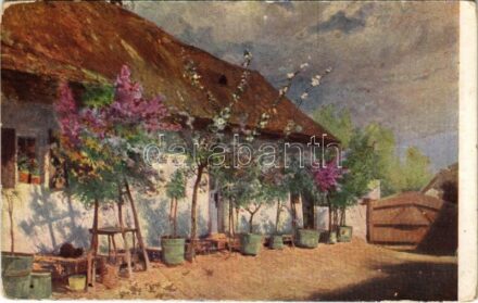 Özvegyasszony udvara. Magyar Rotophot Társaság Nr. 511. s: Ujváry (EK)