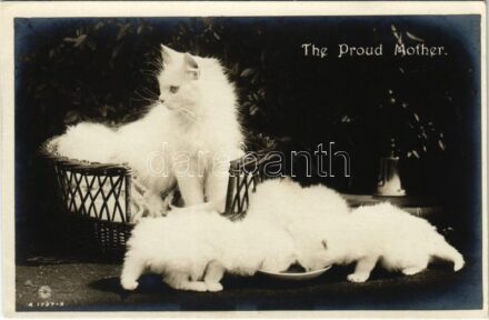 'The Proud Mother' cat family