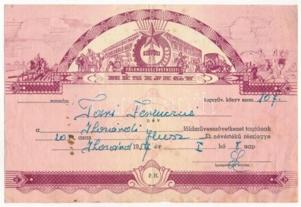 1956. 'SZÖVOSZ - Földművesszövetkezeti Részjegy' névre szóló részjegye 20Ft-ról, kitöltve, bélyegzés nélkül T:III