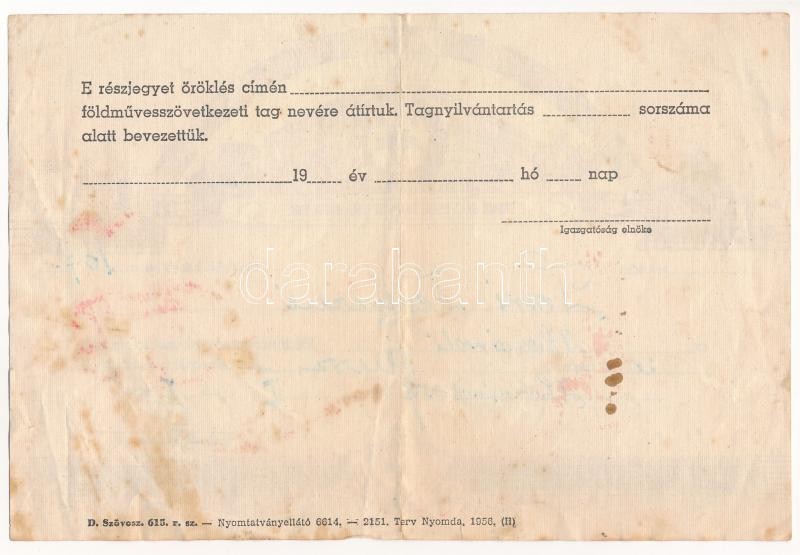 1956. 'SZÖVOSZ - Földművesszövetkezeti Részjegy' névre szóló részjegye 20Ft-ról, kitöltve, bélyegzés nélkül T:III - Image 2