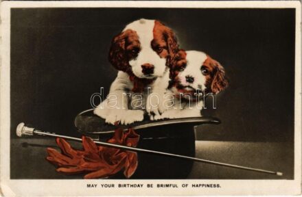 1933 'May Your Birthday Be Brimful of Happiness' Birthday greeting card with dogs in a hat (EK)