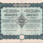 Izsák 1923. 'Izsáki Hengermalom Részvénytársaság' száz darab részvénye egyben, egyenként 1000K-ról, magyar és német nyelvű, szárazpecséttel (2x) sorszámkövetők, egiyk szelvényekkel T:II,II- - Image 2
