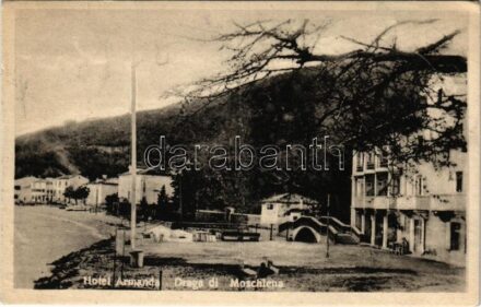 Moscenicka Draga, Valsantamarina, Draga di Moschiena; Hotel Armanda szálloda / hotel (EK)