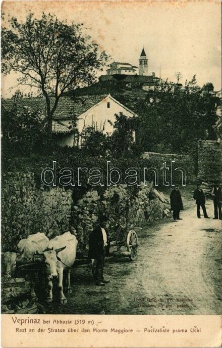 Veprinac, Apriano, Veprinaz (Abbazia, Opatija); Rast an der Strasse über den Monte Maggiore / Pocivaliste prama Ucki / rest area towards Ucka (fl)