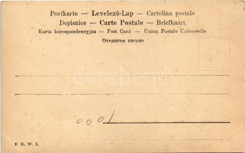 Henryk Sienkiewicz, Polish writer. B.K.W.I. - Image 2