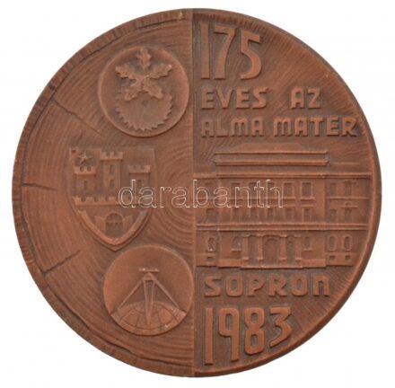 Renner Kálmán (1927-1994) 1983. '175 éves az Alma Mater - Sopron 1983.' kétoldalas bronz emlékérem eredeti díszdobozában (69mm) T:1- Hungary 1983. 'The 175th Anniversary of the Alma Mater - Sopron 1983.' bronze commemorative medallion in