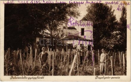 Balatonlelle-gyógyfürdő, Bagolyvár pensio, szőlőskert