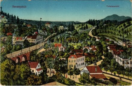 1910 Savanyúkút, Bad Sauerbrunn; Totalansicht / látkép, vasúti híd. Fritz Hönigsberg kiadása / general view, railway bridge (EK)