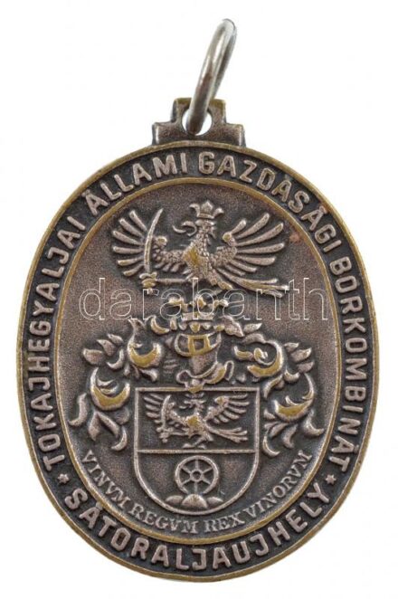 DN 'Tokajhegyaljai Állami Gazdasági Borkombinát - Sátoraljaújhely' fém medál (25x33mm) T:1