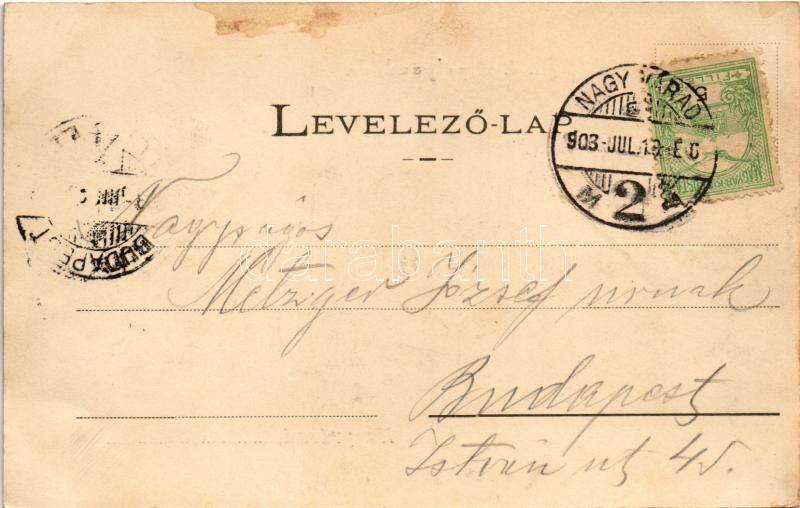 1903 Nagyvárad, Oradea; MÁV pályaudvar, vasútállomás. D.K.F.E. 21. / railway station (fl) - Image 2