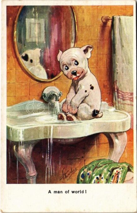 'A man of world!' Bonzo bathing. B.K.W.I. XXXII-1. s: F. Charles (EK)