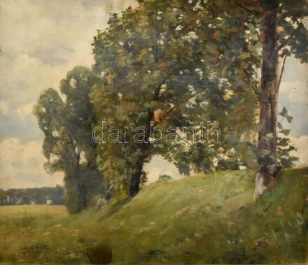 Sárdy Brutus (1892-1970): Dombos táj, 1924. Olaj, rétegelt falemez. Alsó részén kissé sérült. 32x37 cm.