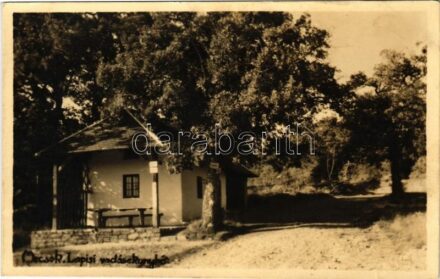 1932 Mecsek (Pécs), Lapisi vadászkunyhó. Zsabokorszky mérnök felvétele (EK)