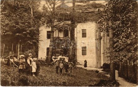 1924 Anina, Stájerlakanina, Stájerlak, Steierdorf; Erzsébet villa / Vila Elisabeta / Villa Elisabeth (EB)