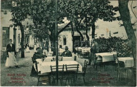 1908 Budapest I. Buzik András 'Öreg Diófa' vendéglő kerthelyisége. Pálya utca 3. (fl)