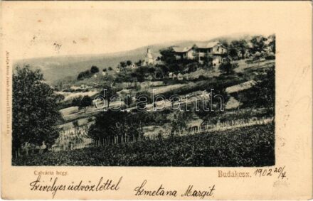 1902 Budakeszi, Kávária hegy. Stern Jakab kiadása (fl)