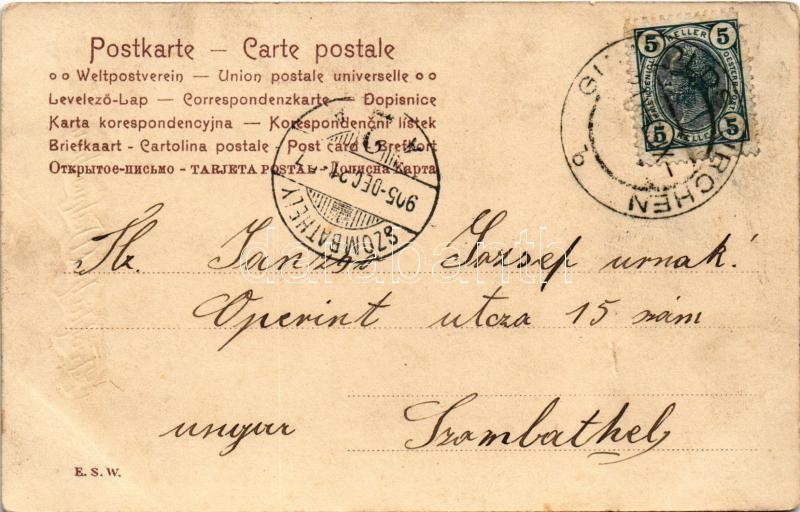 1905 Fröhliche Weihnachten / Christmas greeting art postcard with lady (b) - Image 2