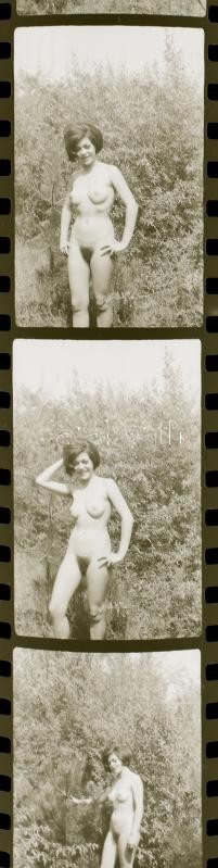 Ida, erdei akt (amatőr aktsorozat), 19 db negatív kocka tekercsben - Image 2