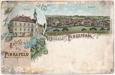 Pinkafő, Pinkafeld; Kloster. Rudolf Oesterreicher / Kolostor / cloister. Art Nouveau, floral, litho (EK)