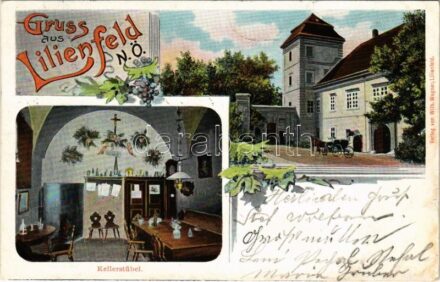 1905 Lilienfeld, Kellerstübel. Art Nouveau (EK)