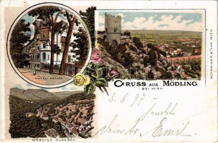 1897 (Vorläufer!) Mödling, Hotel Hayjek, Mödling Klausen. Schneider & Lux Art Nouveau, floral, litho (EB)