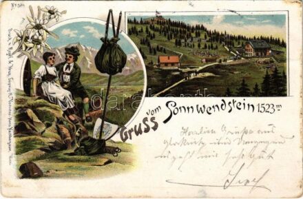1899 (Vorläufer) Sonnwendstein, Gruss vom Sonnwendstein. Regel & Krug Art Nouveau, floral, litho (EK)