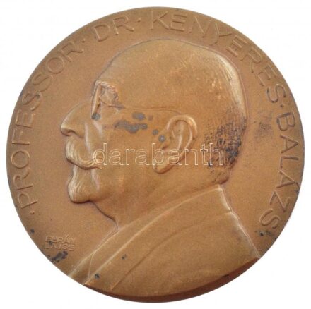 Berán Lajos (1882-1943) 1935. 'Prof. Dr. Kenyeres Balázs' orvos, a törvényszéki orvostan professzora 40 éves tanári működése emlékére' bronz emlékérem (60mm) T:2 patina