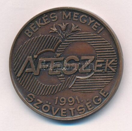 Rajki László (1939-) 1991. 'Békés megyei ÁFÉSZek Szövetsége' kétoldalas Br emlékérem (42,5mm) T:1-