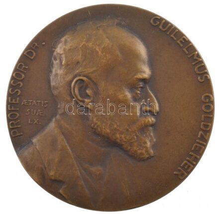 Csillag István (1881-1968) 1909. 'Professor Dr. Goldzieher Vilmos' egyoldalas bronz emlékérem (55mm) T:1- Hungary 1909. 'Professor Dr. Guilelmus Goldzieher' one-sided bronze commemorative medallion. Sign.:István Csillag (1881-1968) (55mm)