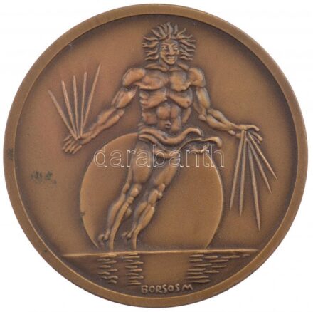 Borsos Miklós (1906-1990) 1980. 'XXVIII. International Congress of Physiological Sciences Budapest Hungary July 13-19 1980 (XXVIII. Fiziológiai Tudományok Nemzetközi Kongresszusa Budapest)' bronz emlékérem (60mm) T:1-