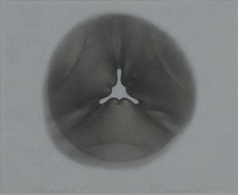 Fenekovács László (1950): Három grácia II., 2000