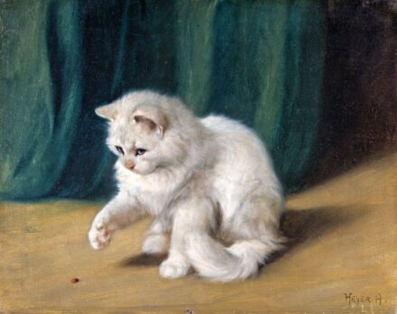Heyer Artúr (1872-1931): Katicával játszó cica