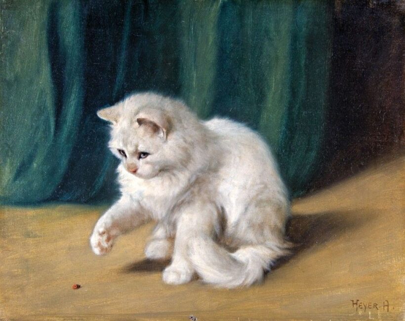 Heyer Artúr (1872-1931): Katicával játszó cica