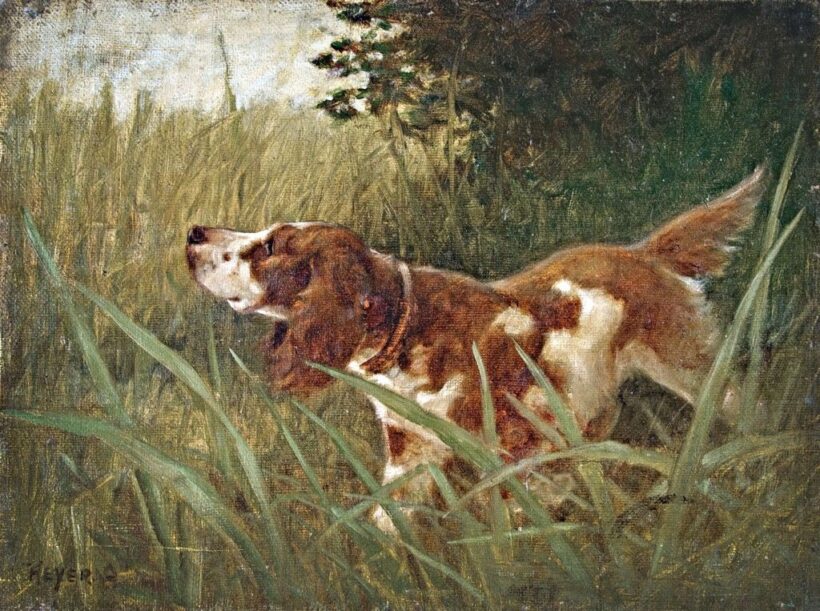 Heyer Artúr (1872-1931): Vadászkutya