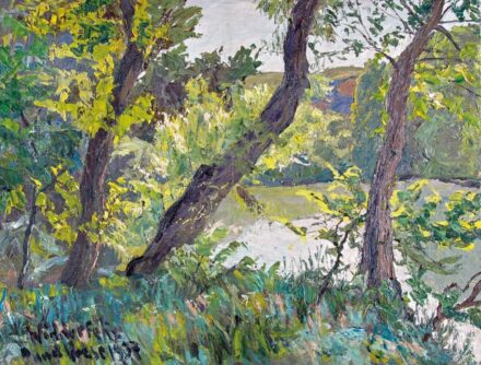 Widder Félix (1874-1939): Dunapart, 1937