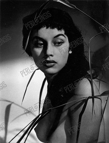 LUSSA VINCE (1924-2006):  A láp virága (1957)