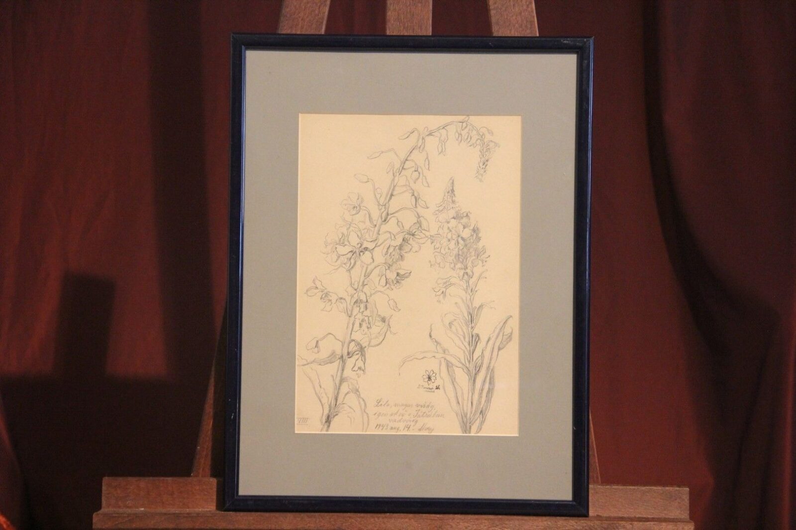 Benczúr Dolányi Ida - Vadvirág