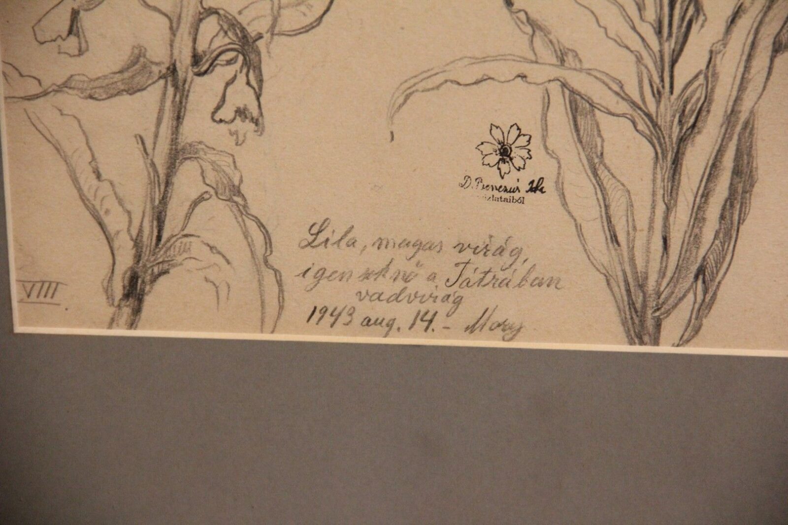 Benczúr Dolányi Ida - Vadvirág - Image 2