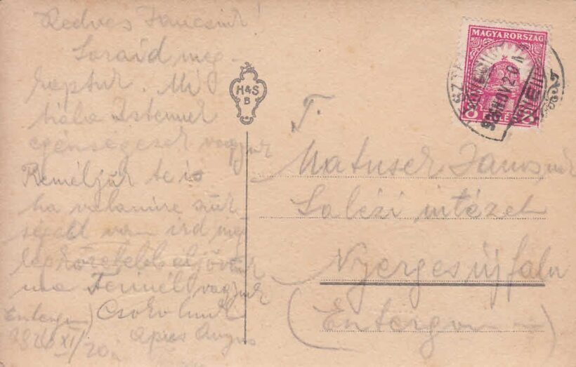 61-1533 Virág/Dombornyomott képeslap - Image 2