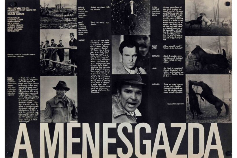 A ménesgazda 