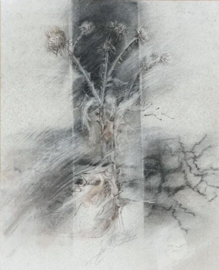 Köllő Margit (1944): Bogáncs, 1995