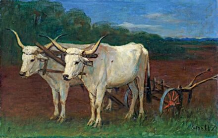 Stróbl Zsófia (1860-1941): Őszi szántás