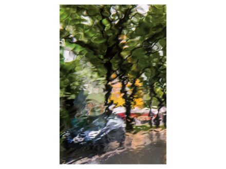 Balázs Attila: Eső (Nyíregyháza, 2014) 