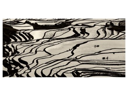 Balogh Attila: Tavaszi szántás 2. (Dél-Kína, Yunnan tartomány, 2012/2016)   