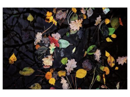 Dvornik Gábor: The Fallen (2013/ 2017) 