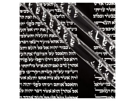 Féner Tamás: Leviticus – Mózes harmadik könyve (2017) 