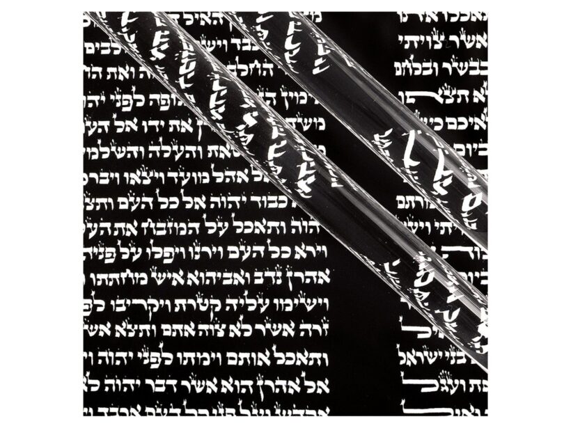 Féner Tamás: Leviticus – Mózes harmadik könyve (2017) 
