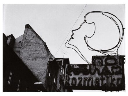 Frankl Aliona: Tupír (1994/2009) 